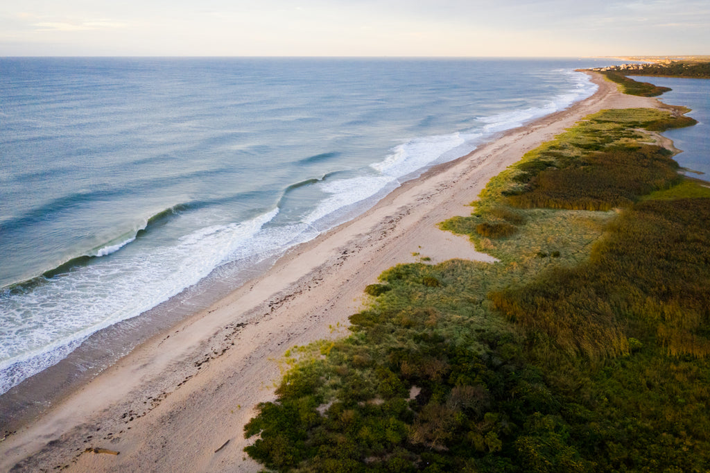 Ocean View Aerial #3 by Cate Brown