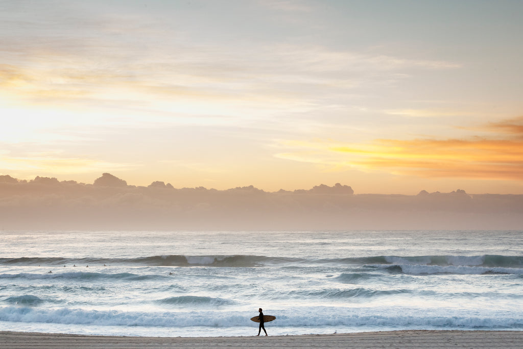 Morning Stroll by Tim Bowman