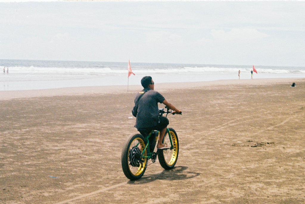 Long Rides On The Beach by Haydn Shallvey