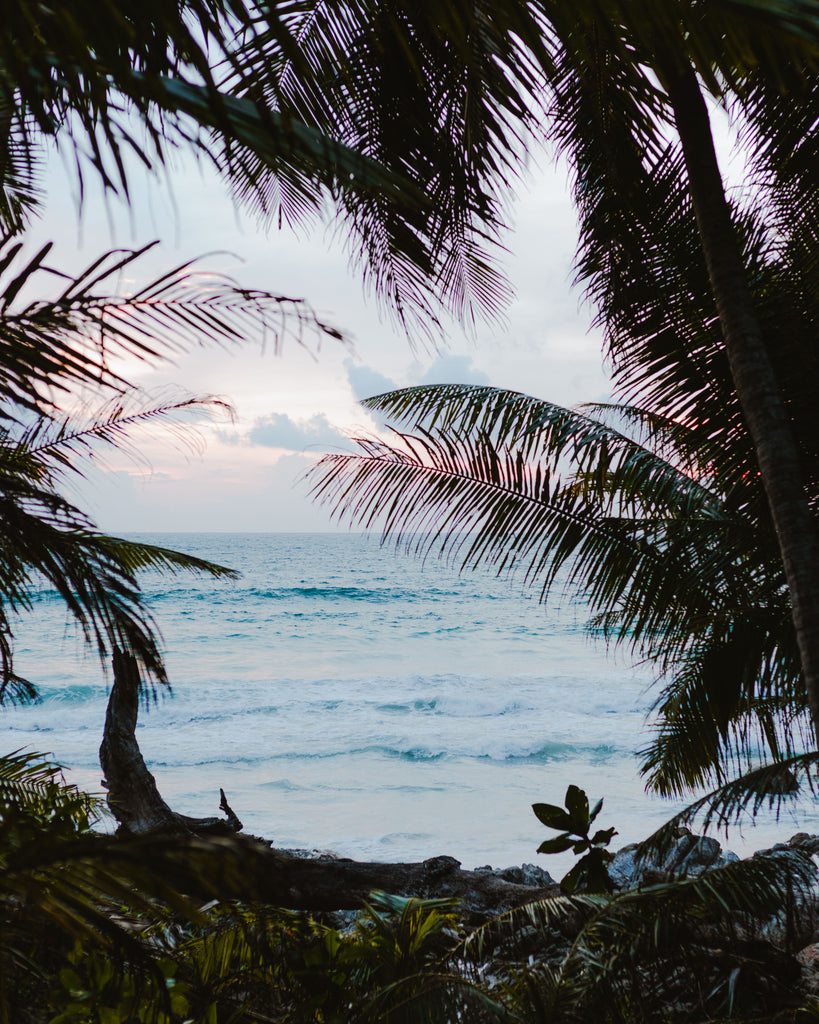 Freedom Beach by Jack Bussell