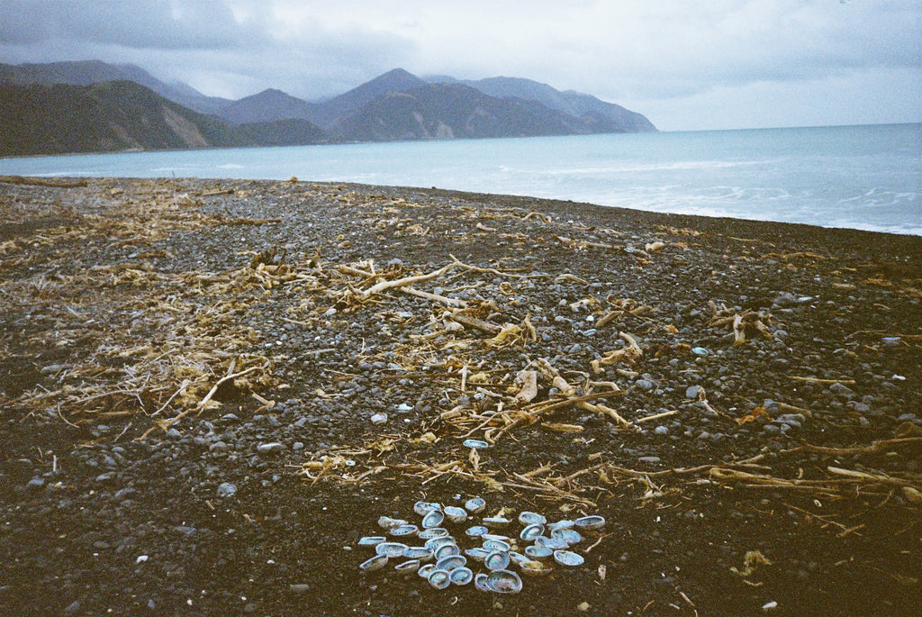 Kaikoura by Jake Killen