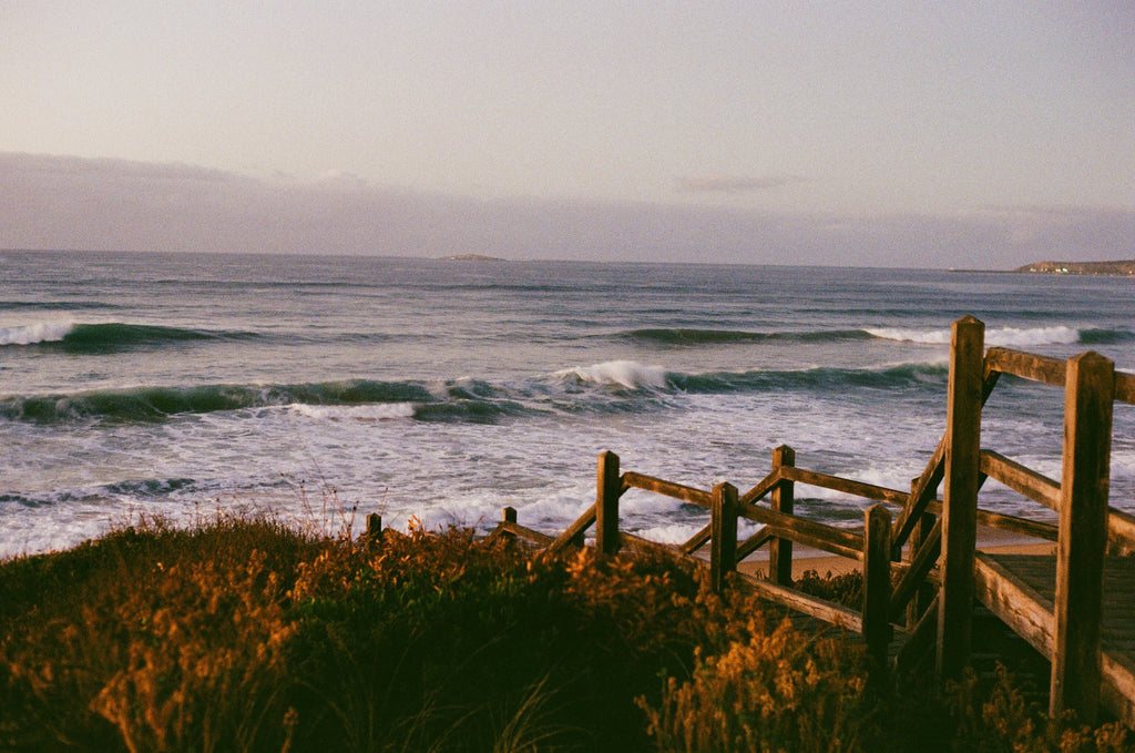 South Aus Wedge Action by Daniel Raab