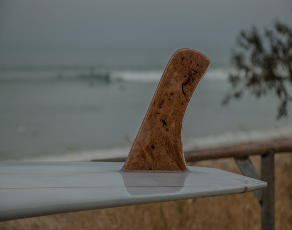 Burl Single Fin by Sean Curran