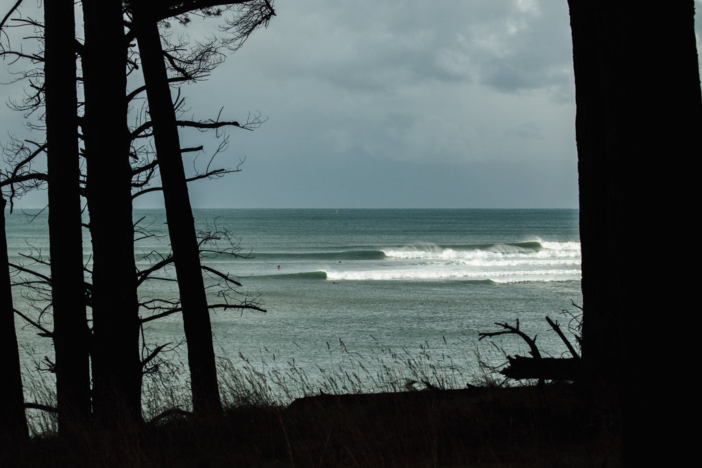 Through The Pines by Hayden O'Neill