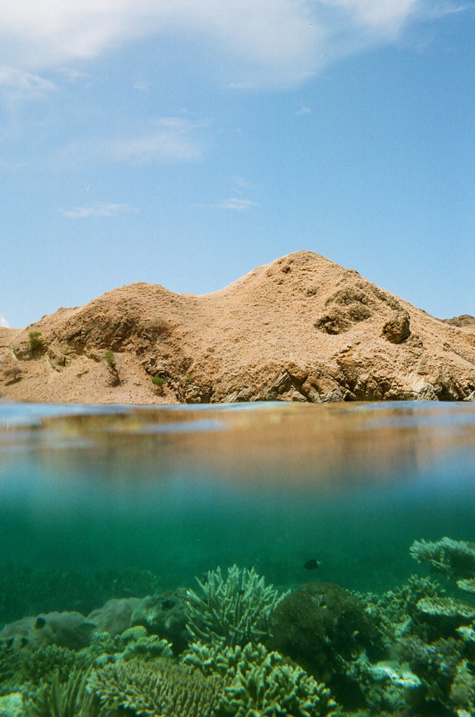 Komodo Diving by Aprille Zammit