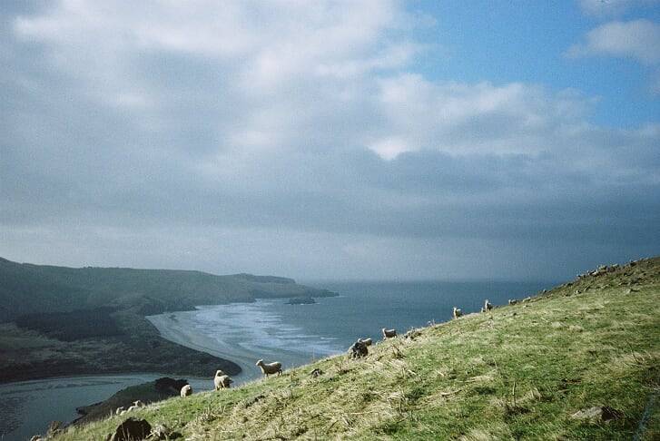 Farmers Point by Jake Killen